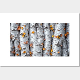 Aspen Tree Trunks - Landscape Posters and Art